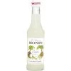 Monin Sirup Cocos 250ML -Lebensmittelgeschäft monin sirup kokosnuss 025l